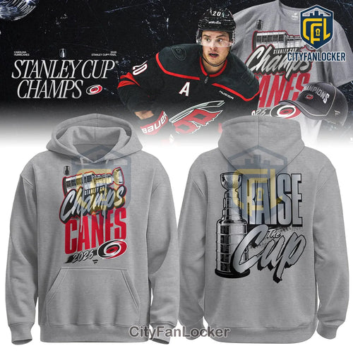 Carolina Hurricanes 2026 Stanley Cup Champions Gray Locker Room Pullover Hoodie