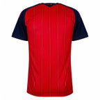 2026 Spain World Cup 2 Stars Jersey