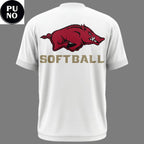 Arkansas Razorbacks Softball College World Series 2026 T-Shirt
