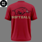 Arkansas Razorbacks Softball College World Series 2026 T-Shirt