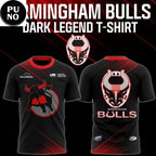 Birmingham Bulls Bulls Dark Legend 2026 Hoodie T-Shirt