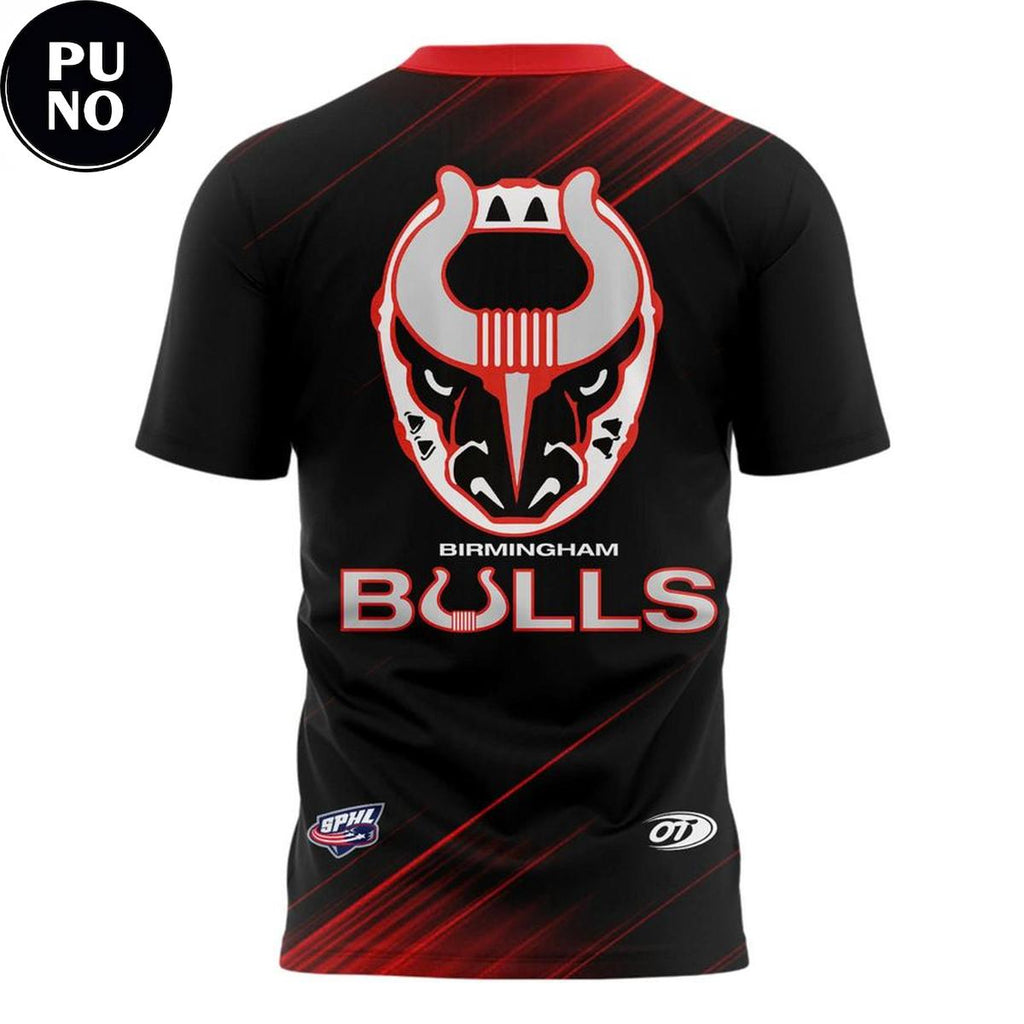 Birmingham Bulls Bulls Dark Legend 2026 Hoodie T-Shirt