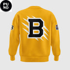 Boston Bruins 2026 Outdoor Game Hoodie Shirt