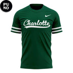 Charlotte 49ers Softball Classic Script 2026 New Year New Threads Hoodie T-Shirt