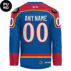 Columbus River Dragons Turn Back the Clock 2026 Personalized Hockey Jersey