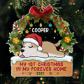 First Paws Under The Tree Dog & Cat - Personalized Custom Shaped Acrylic Ornament - Christmas Gift For Dog Lovers, Cat Lovers