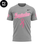 Florida State Seminoles Paint it Pink 2026 Hoodie Shirt