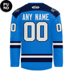 Jacksonville IceMen 2026 Celebrate 10th Anniversary Personalized Hockey Jersey