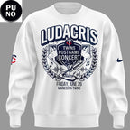 Minnesota Twins x Ludacris Postgame Concert 2026 Hoodie T-Shirt
