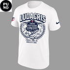 Minnesota Twins x Ludacris Postgame Concert 2026 Hoodie T-Shirt