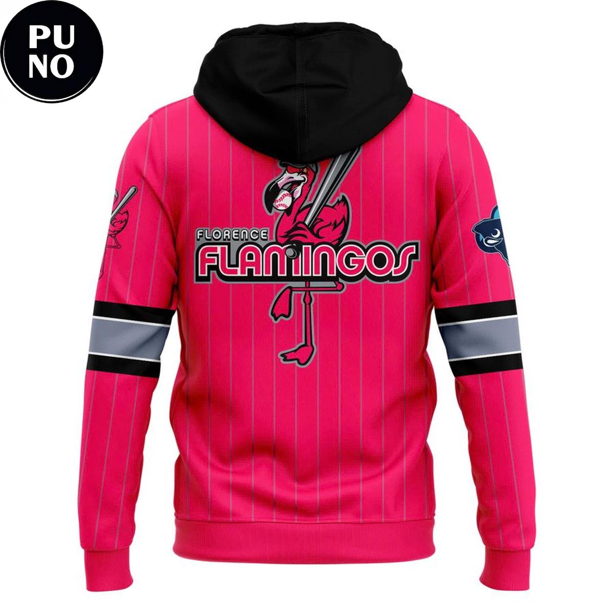 Pee Dee IceCats x Florence Flamingos Warm up 2026 Hoodie T-Shirt