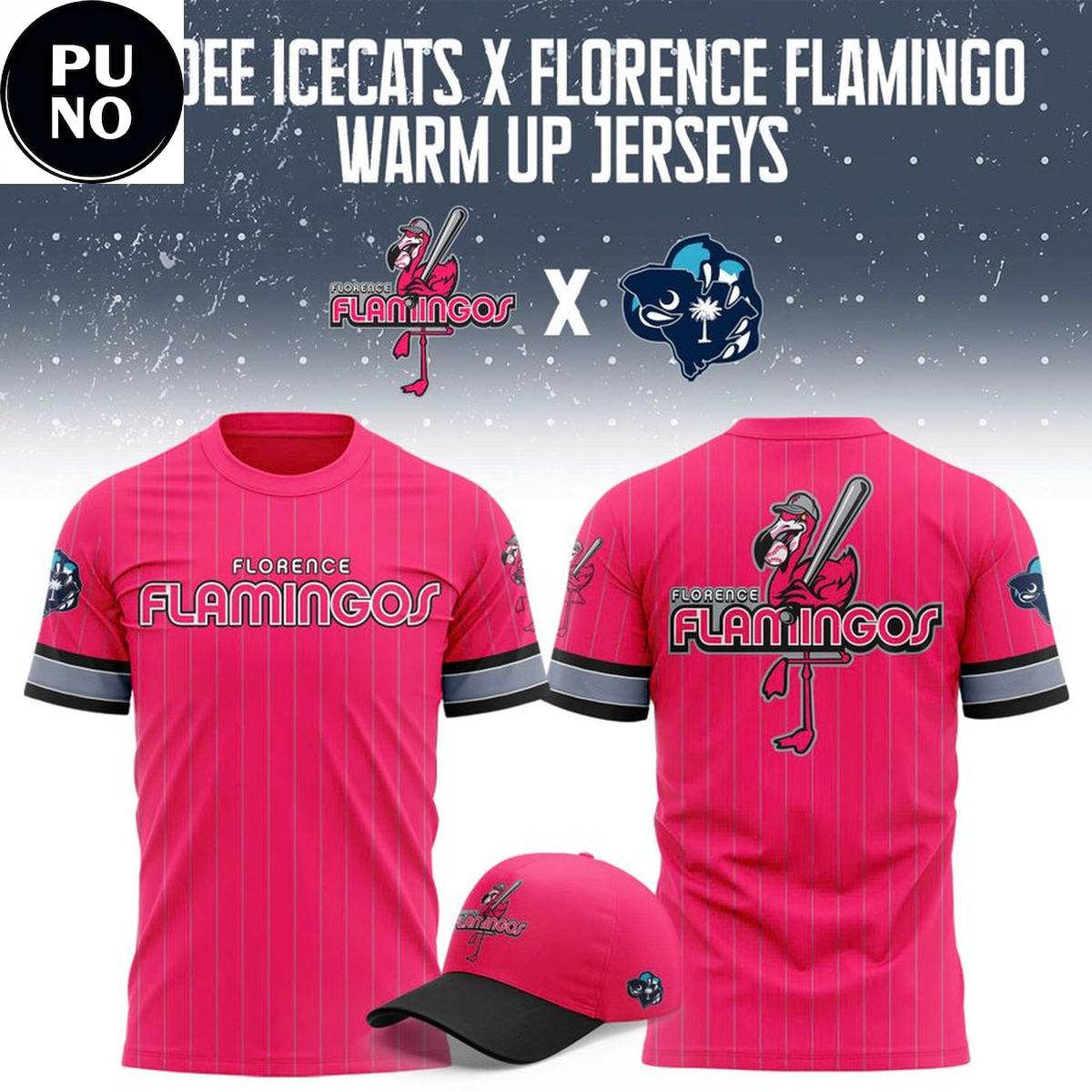Pee Dee IceCats x Florence Flamingos Warm up 2026 Hoodie T-Shirt