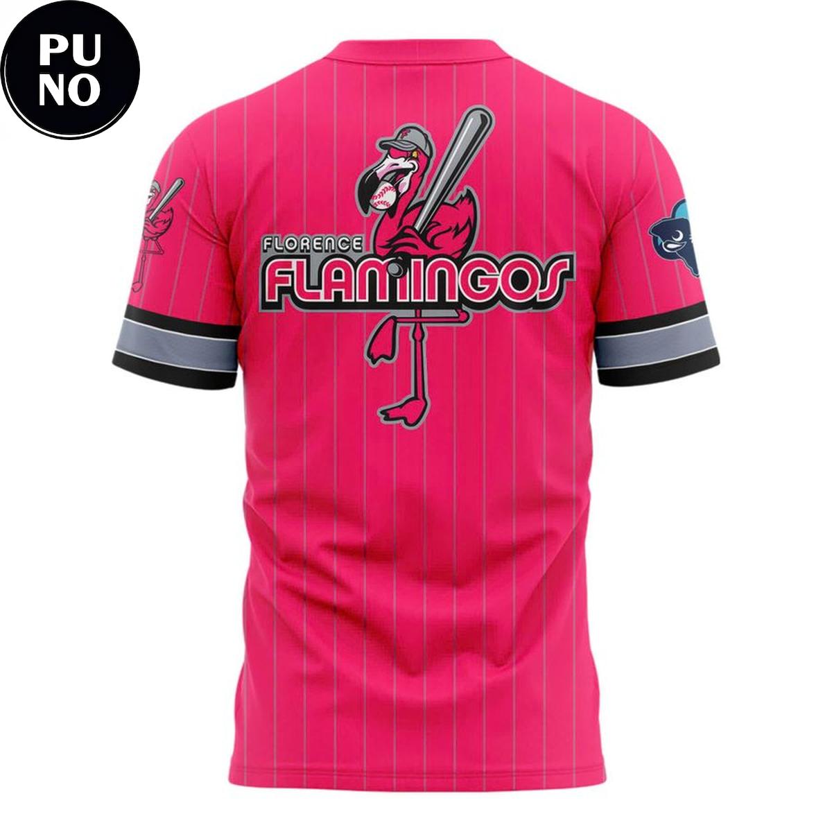 Pee Dee IceCats x Florence Flamingos Warm up 2026 Hoodie T-Shirt