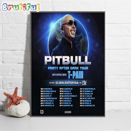 Pitbull 2024 Party After Dark Tour Schedule Wall Art Poster Canvas