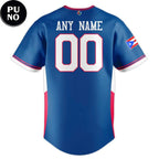 Puerto Rico World Baseball Classic 2026 Personalized Baseball Jersey