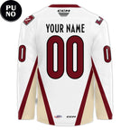 Tucson Roadrunners El Lazo 2026 Personalized Hockey Jersey