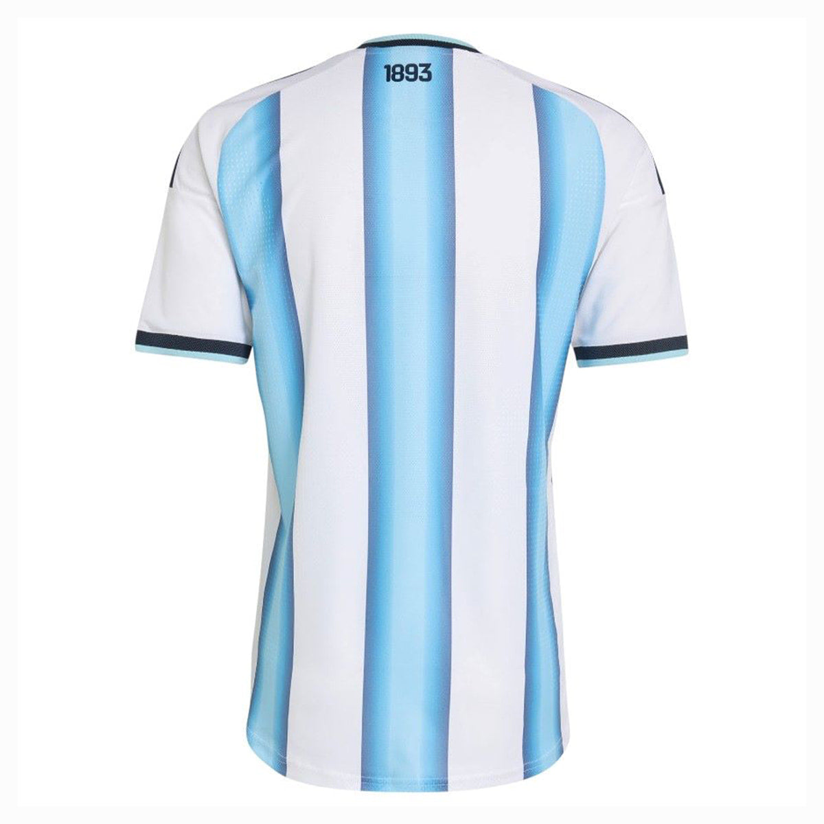 World Cup 2026 Argentina 4 Stars Jersey