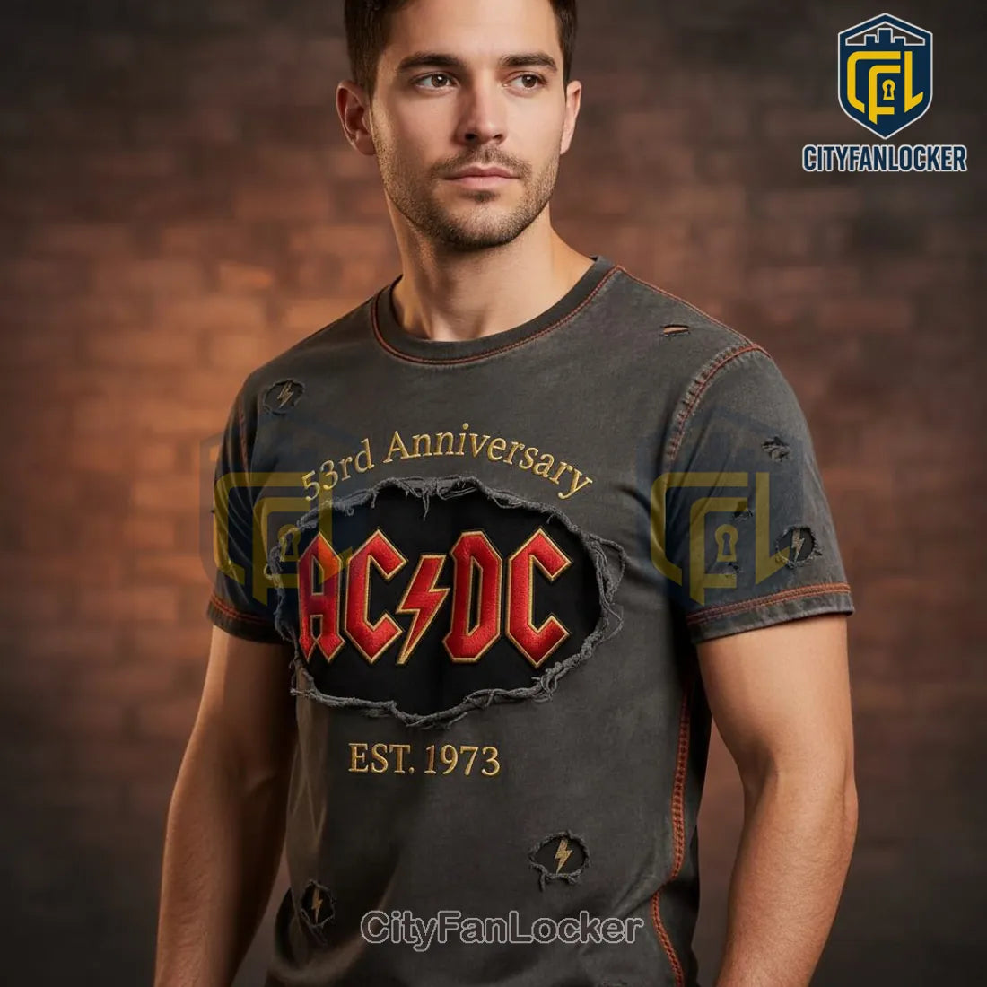 AC/DC 53rd Anniversary EST. 1973 Vintage Distressed Rock Band T-Shirt