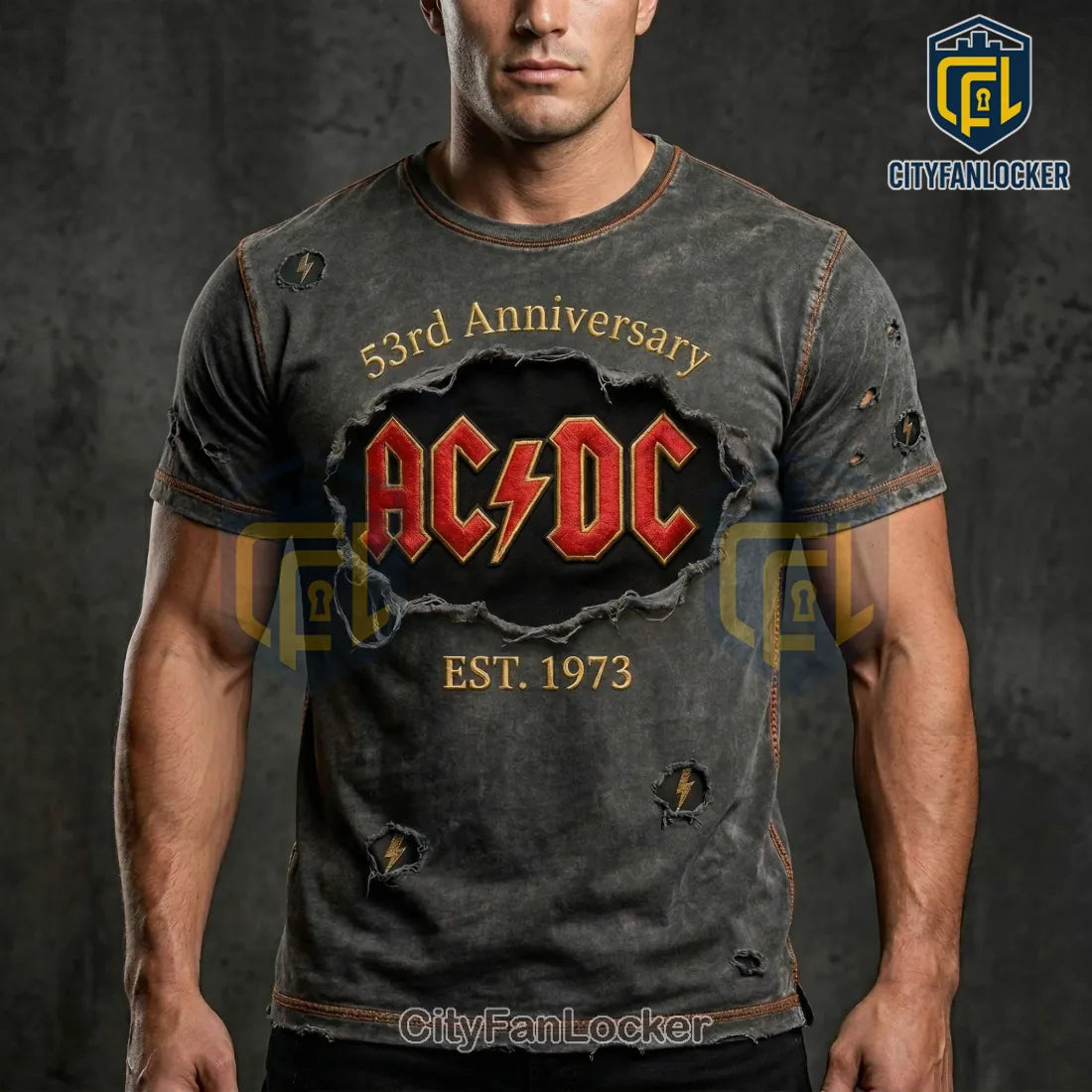 AC/DC 53rd Anniversary EST. 1973 Vintage Distressed Rock Band T-Shirt