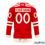 Grand Rapids Griffins Vintage vibe New Jersey