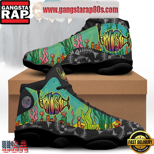 NFL Phish Rock Band First Tube Air Jordan 13 Shoes