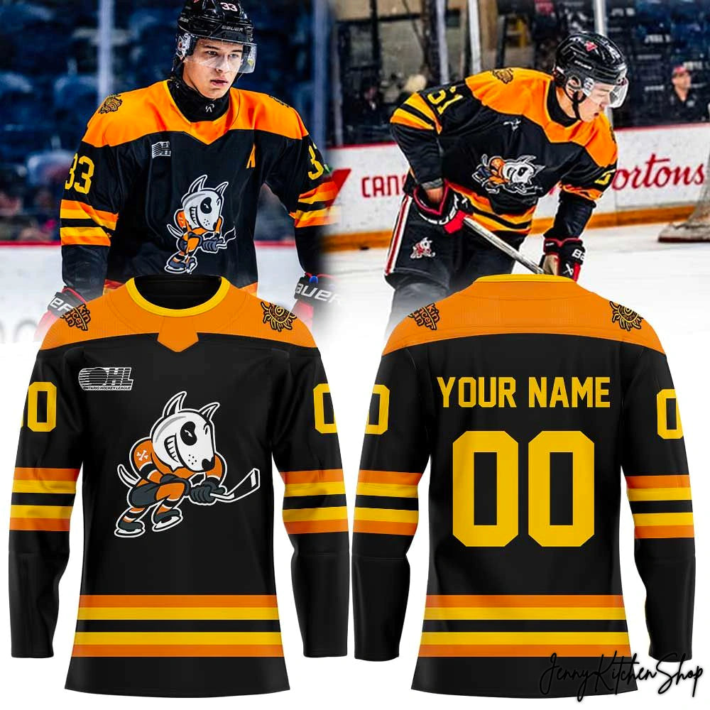 Niagara IceDogs Cancer Care Programs Uniform 2026 Hockey Jersey