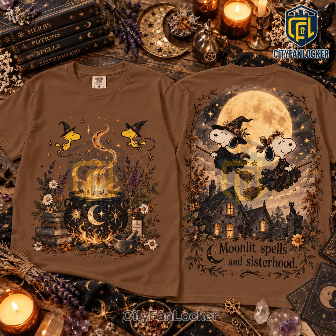 Practical Magic x Snoopy Witch Shirt
